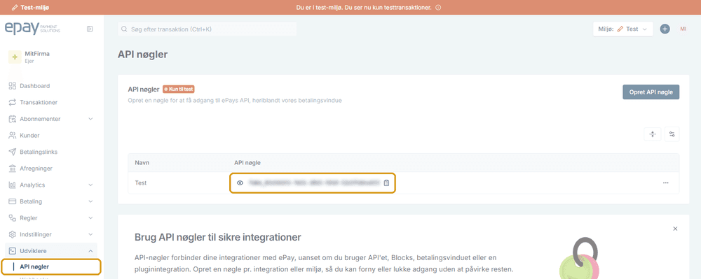 API keys page with the API key highlighted